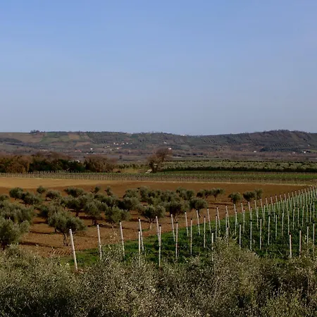 Tenuta Fattore